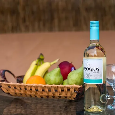 Irinis Διαμέρισμα