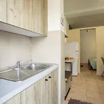 Apartment Irinis